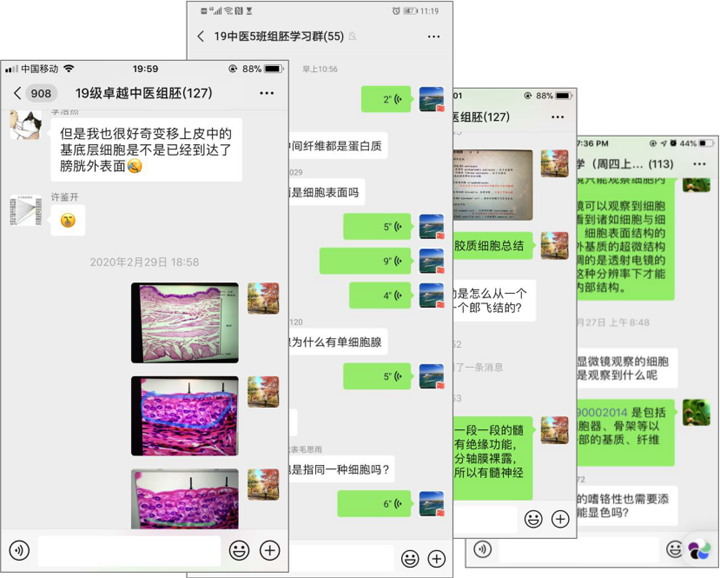 1584526767894096483.png z05.png